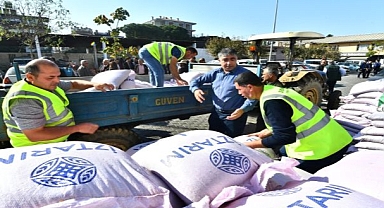 Bir avuçtan 11 bin dönüme