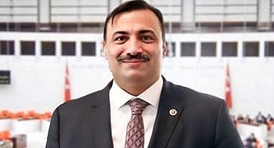 ‘’Bu zihniyet, Romanları nasıl gördüyse o şekilde karikatürize etmiştir’’