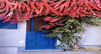Alaçatı Sanatla Güzel