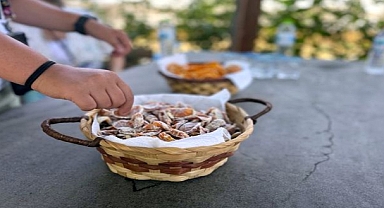 Lösev kampı öğrencileri tohum merkezini ziyaret etti