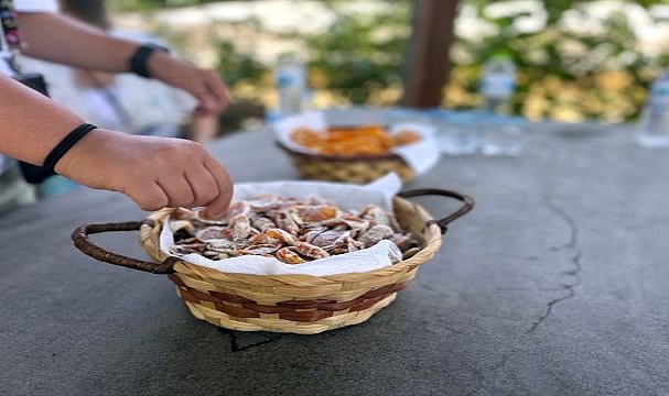 Lösev kampı öğrencileri tohum merkezini ziyaret etti