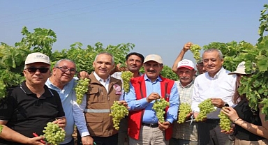 Yaş üzümde 200 milyon dolar aşılacak