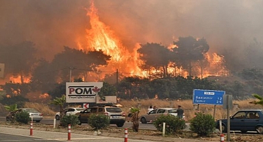İZPA İzmir’in orman yangını risk haritasını oluşturdu