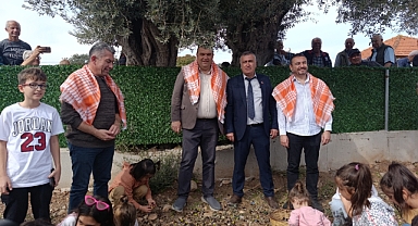 Orhanlı'da Zeytin Hasadı Festivali Coşkusu