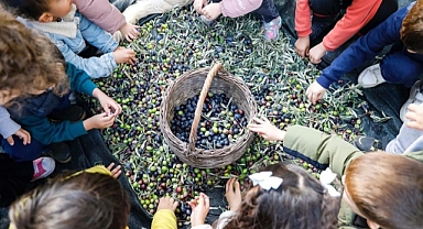 SEFERİHİSAR'DA SOSYAL BELEDİYECİLİK İZLERİ: MASAL EVİ ÖĞRENCİLERİNDEN ZEYTİN HASADI