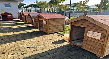 Seferihisar’da Sokak Hayvanları İçin Kulübe Destek Kampanyası