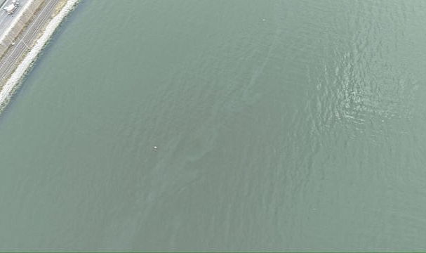 İzmir Körfezi’nde kirlilik alarmı: Aynı tehdit 11. kez görüldü