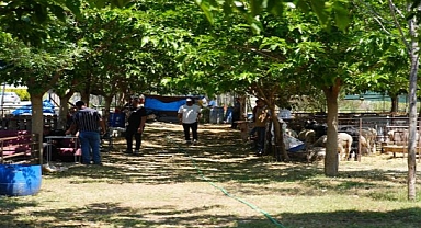 Seferihisar Belediyesi, Kurban Bayramı’nda dayanışmayı büyütmek için harekete geçti. 